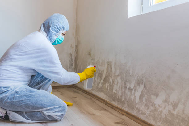 Licensed Crawl Space Mold Removal service in Concord, VA - WQB Mold Removal