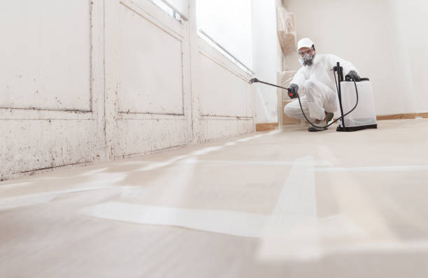 24/7 Emergency Crawl Space Mold Removal experts in Concord, VA