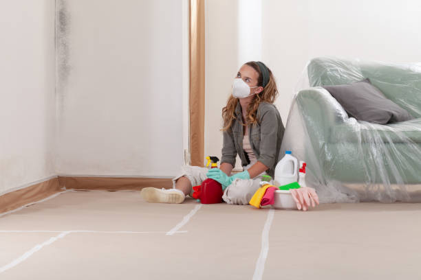 Reliable Crawl Space Mold Removal contractor in Concord, VA by WQB Mold Removal