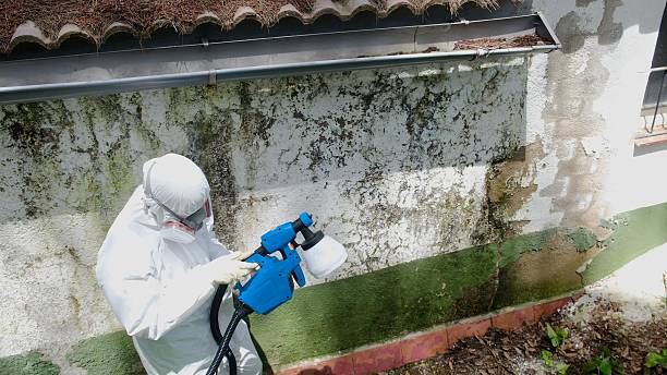 Top rated local Crawl Space Mold Removal specialists in Concord, VA